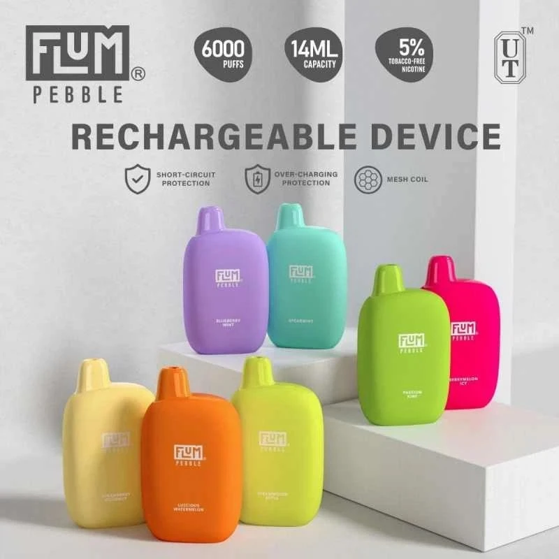 FLUM Pebble 6000 Puffs Disposable Vape suppliers