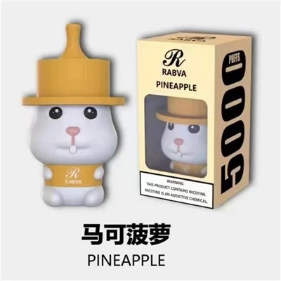 Rabva 5000 pwffs vape